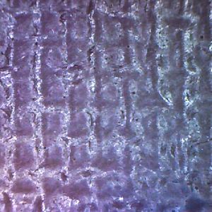 microscope texture
