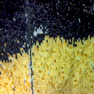 microscope texture