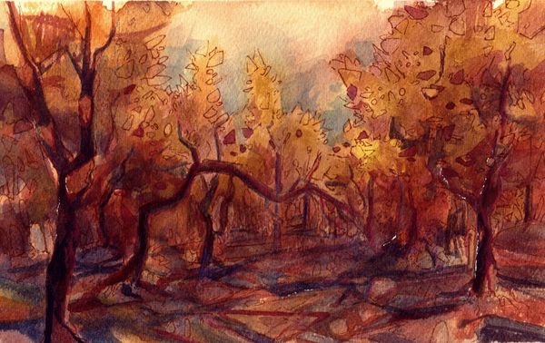 autumn lens