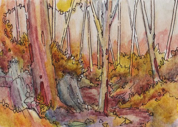 forest