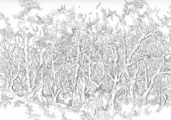 forest wall