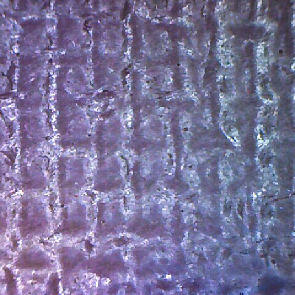 microscope texture