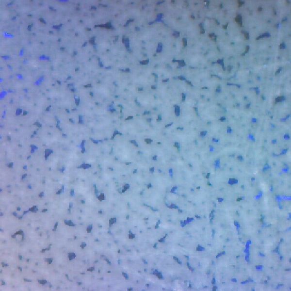 microscope texture