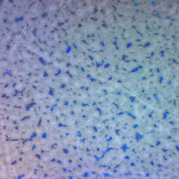microscope texture