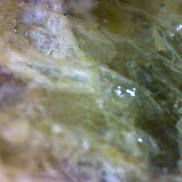 microscope texture