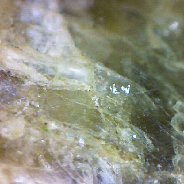 microscope texture