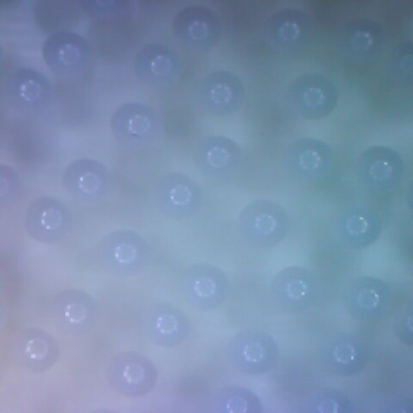 microscope texture