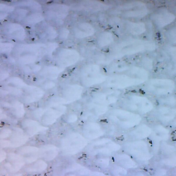 microscope texture