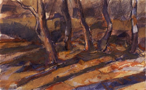shadows