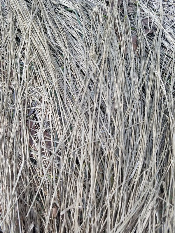 texture
