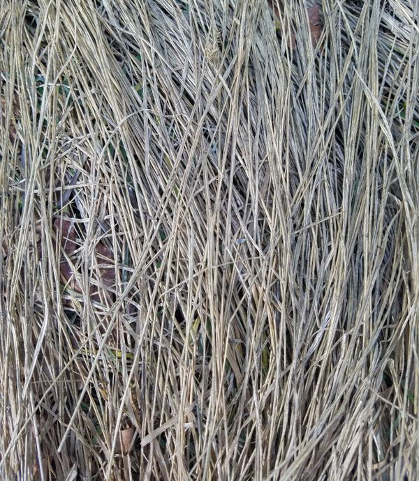 texture