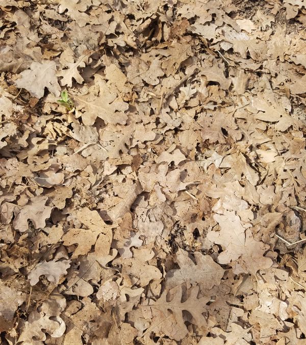 texture