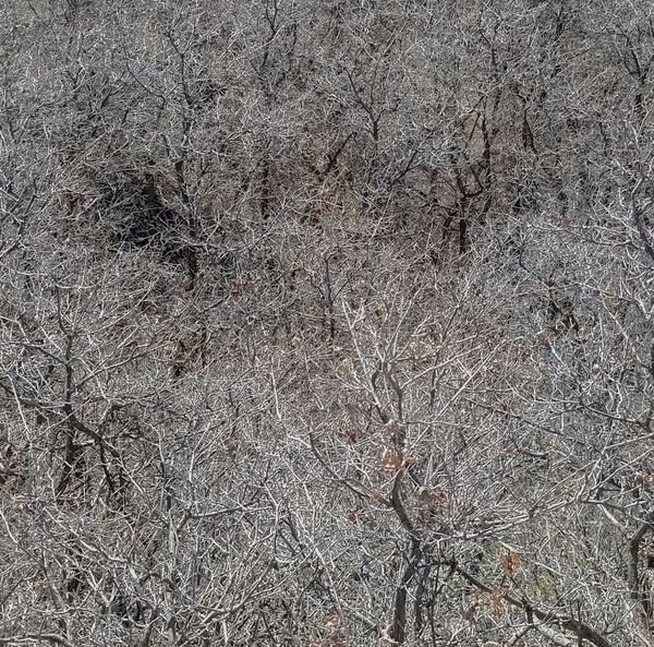 texture