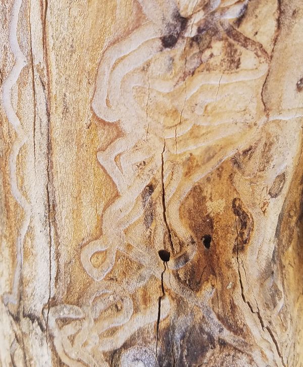 texture