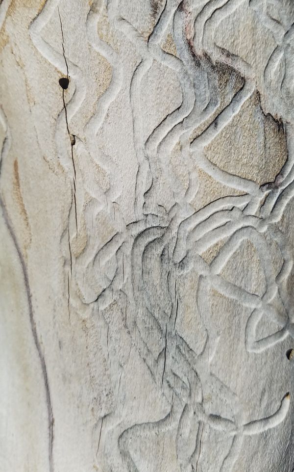 texture
