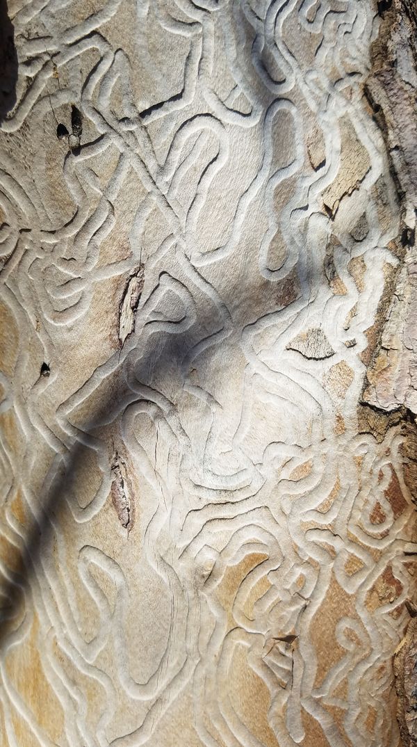 texture