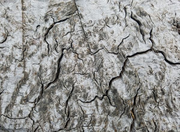 texture