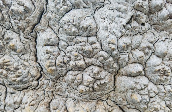 texture