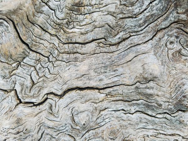 texture