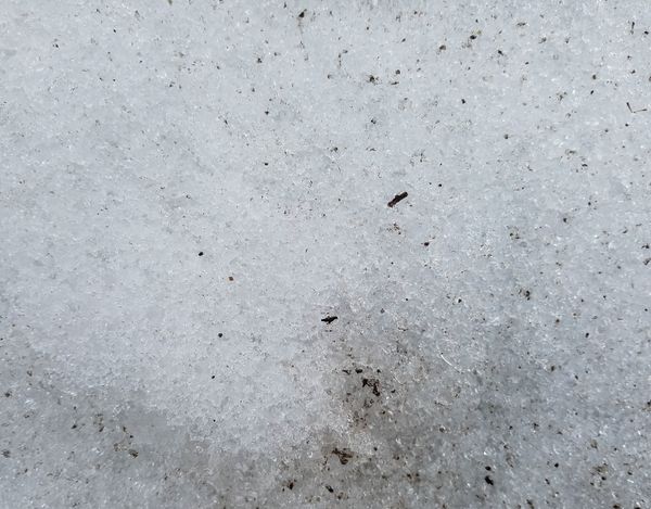 texture