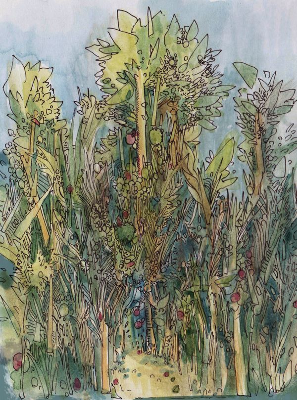 woodsection